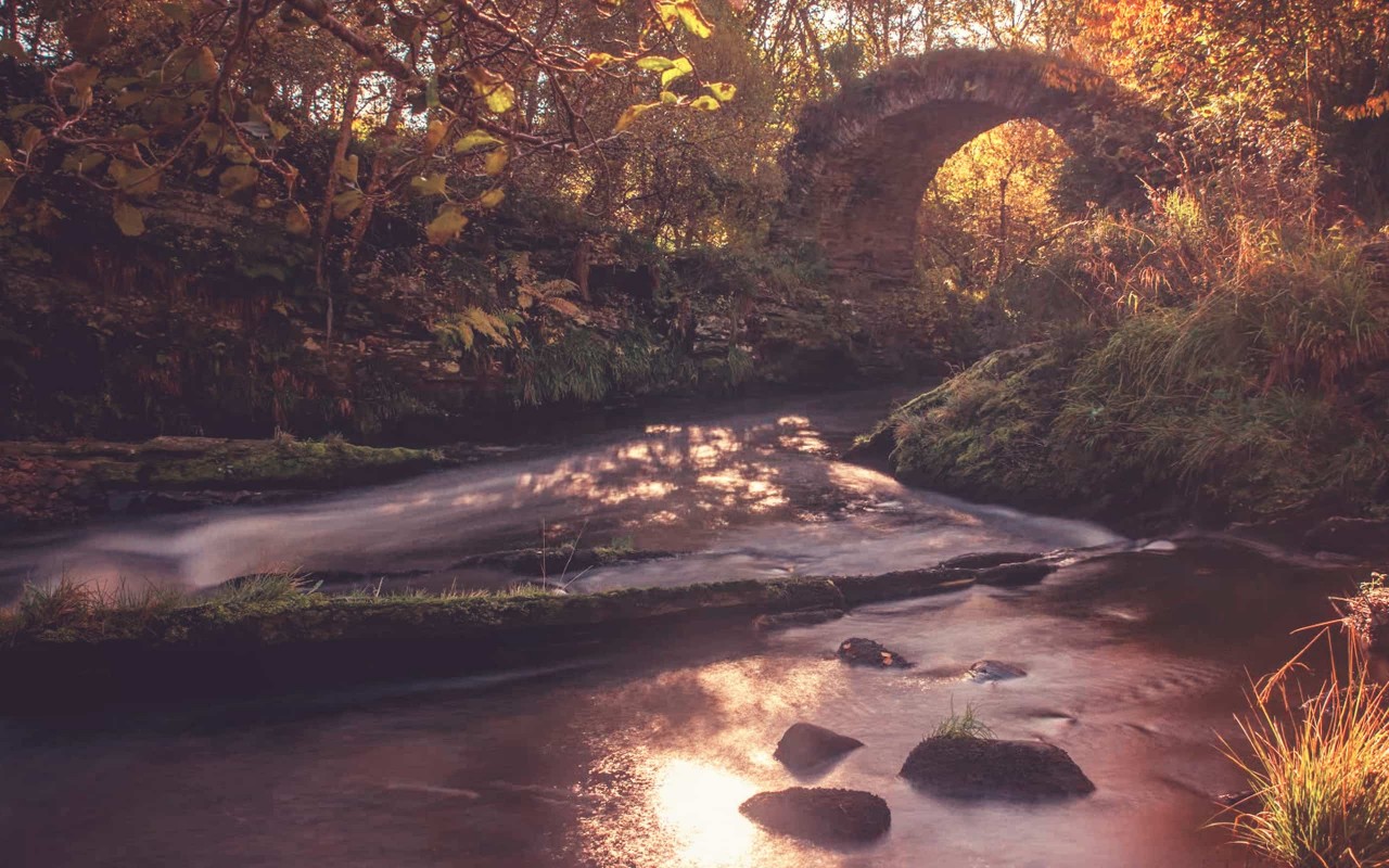 Whisky brand The Glenlivet hands global account to Wieden + Kennedy Amsterdam