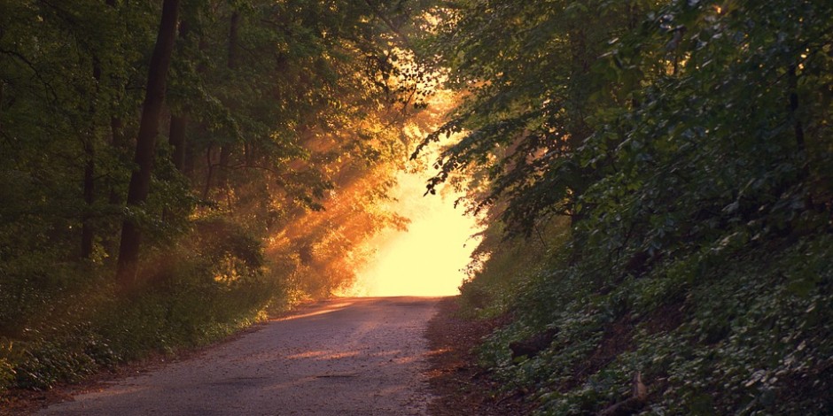 Where does Samsung go from here?