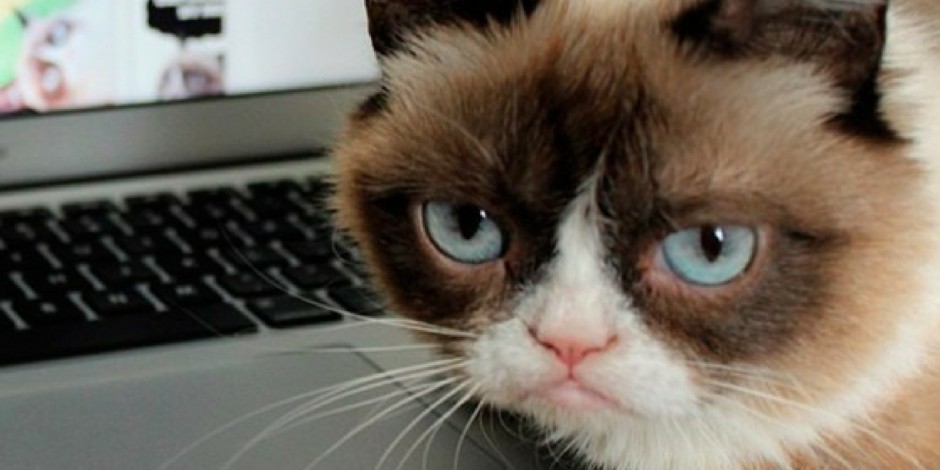 How brands marked 25 years of the World Wide Web on Twitter