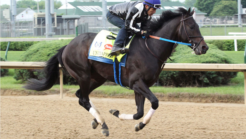 Churchill Downs bets on data to turn Kentucky Derby fans into year-round horse racing enthusiasts