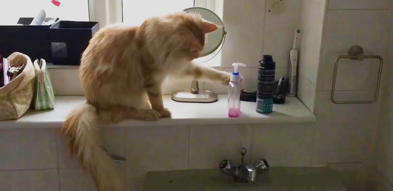 Amazon Music Unlimited taps Above+Beyond to create musical ‘Moments’