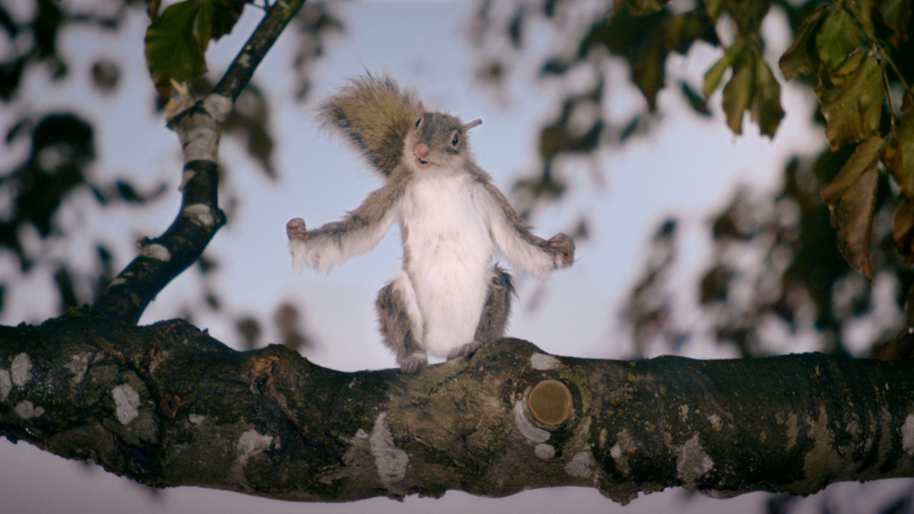 Creative Works featuring VCCP, The Leith Agency, Bray Leino, Publicis Italy and more