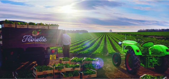 Florette combines CGI and live action in campaign featuring animated tractor ‘Rocket’