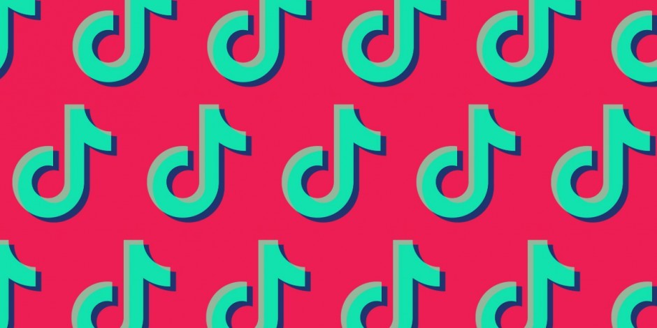 What's behind India’s TikTok ban?
